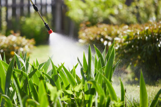 24/7 Emergency Wasp Removal experts in Wausau, WI