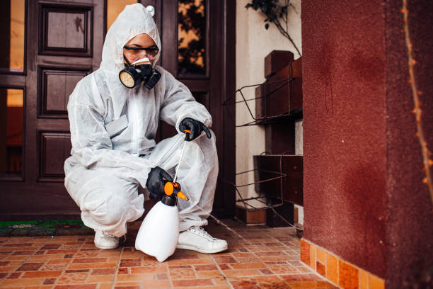 Reliable Wasp Removal contractor in Wausau, WI by Show Me Pest Control